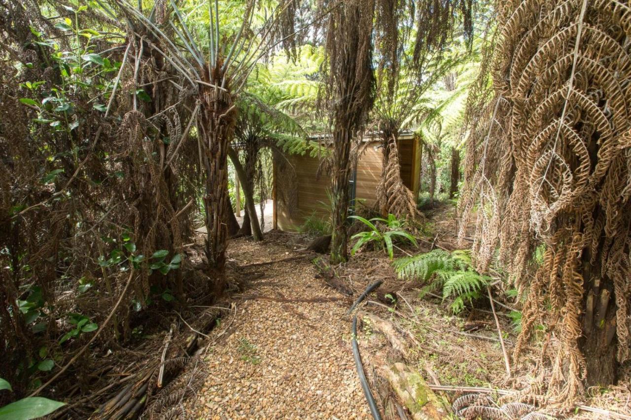 Oneroa Karaka Sanctuary With Spa Pool By Waiheke Unlimited חדר תמונה